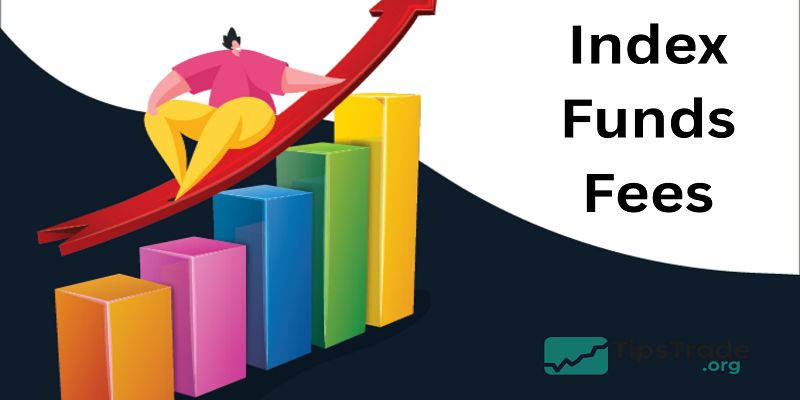 Index Funds Fees: How Much Do Index Funds Really Cost?