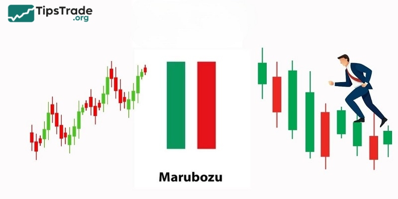 Marubozu Candlestick: A Detailed Guide to Identification and Effective Trading