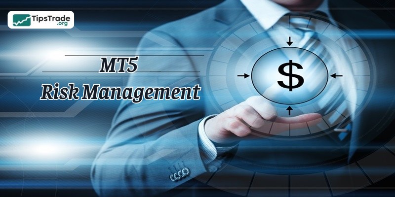 Understanding MT5 Risk Management: The Secrets to “Surviving” & Maximizing Profits