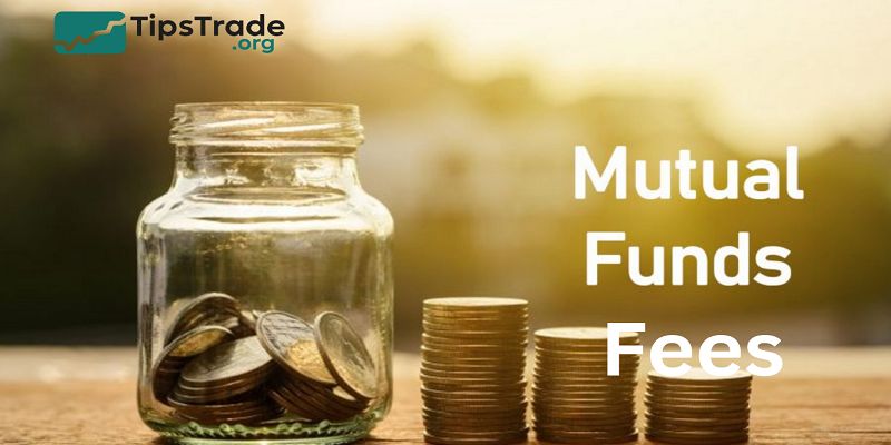 Mutual Funds Fees — A Complete Guide for Investors