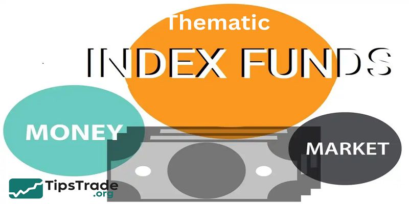 Thematic Index Funds: A Complete Guide for Long-Term Investors