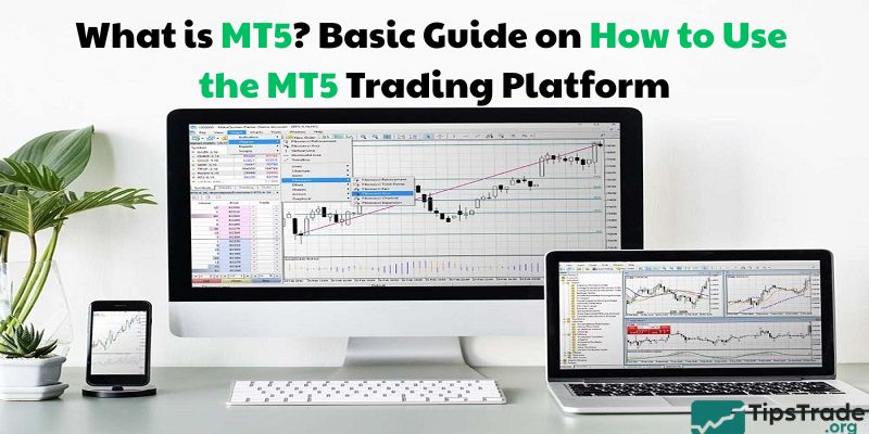 What is MT5? Basic Guide on How to Use the MT5 Trading Platform