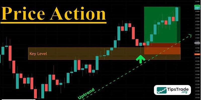What is price action? A complete guide to price action trading from basics to advanced