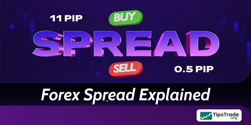 Forex Spread Explained and How to Calculate it