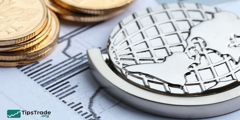 Government Money Market Funds Explained: Safety, Liquidity, and Cash Management