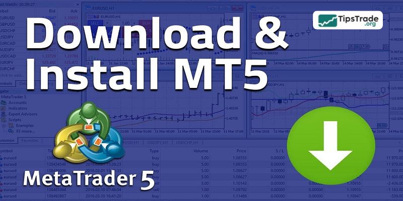 How to Download MT5 Easily on Different Devices