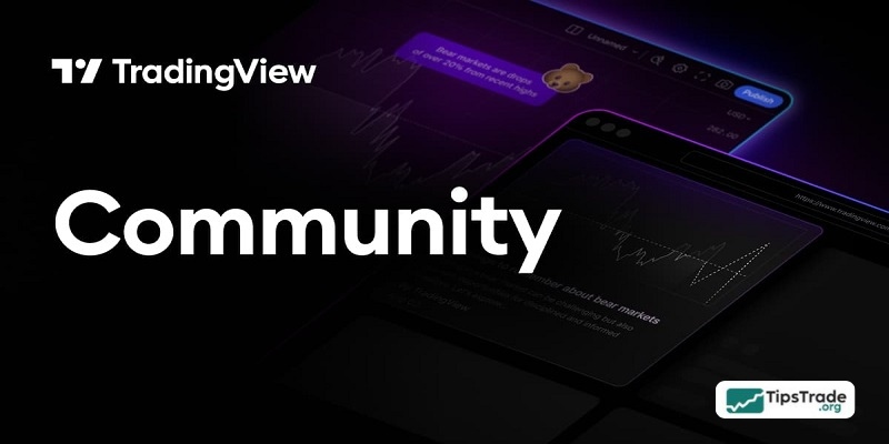 How to Join and Use the TradingView Community Effectively for Traders