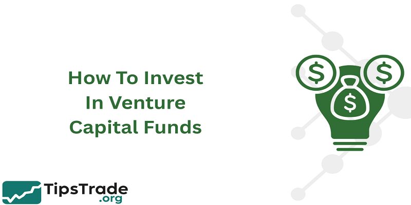 How to Invest in Venture Capital Funds: A Complete Guide for Individual Investors