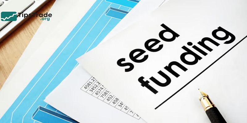 Seed Funds: A Complete Guide to Early-Stage Startup Funding