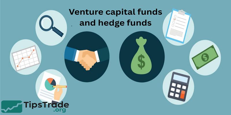 Venture capital funds and hedge funds: Key Differences Every Investor Should Know
