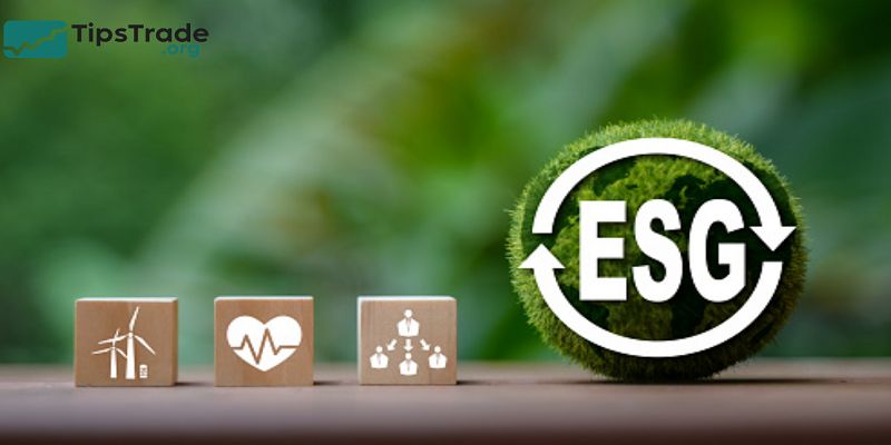 Climate-Focused ESG Funds Explained: How Net-Zero Investing Works