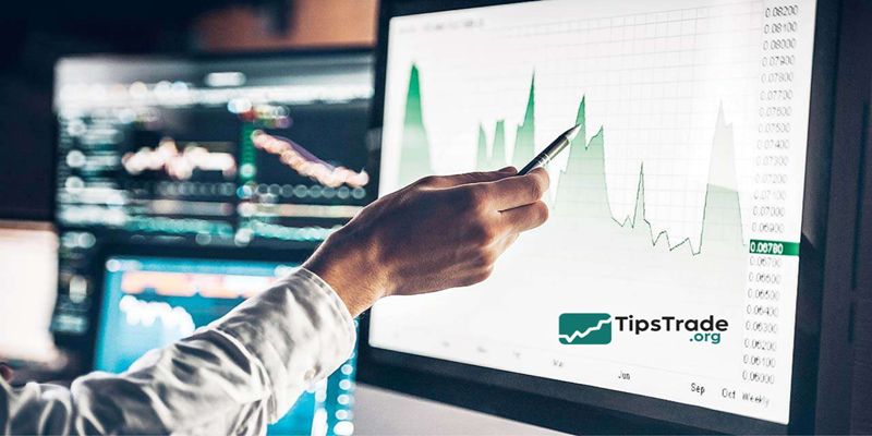 Equity Green Funds: A Complete Guide to Sustainable Equity Investing