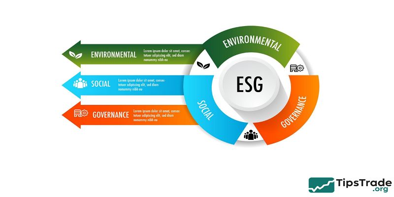 ESG Funds Trends: How Sustainable Investing Is Evolving