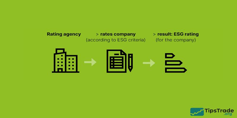 ESG Ratings Explained: Methodology, Agencies, Reliability, and Why They Matter for Investors
