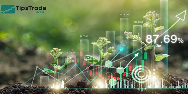 How to Invest in Green Funds: A Complete Guide to Sustainable Investing
