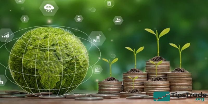 Impact Green Funds: A Complete Guide to Sustainable Impact Investing