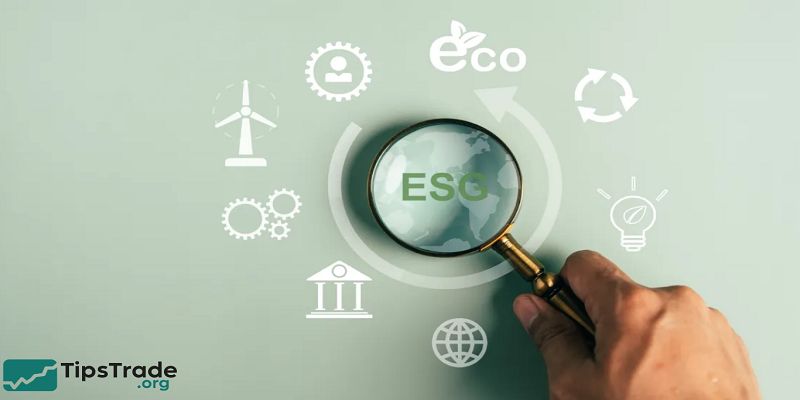 Risks of ESG Funds: What Investors Need to Know Before Investing
